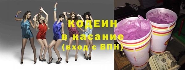 индика Белокуриха