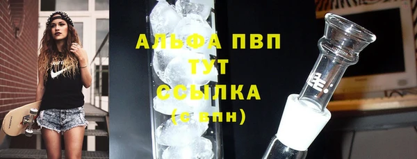 индика Белокуриха