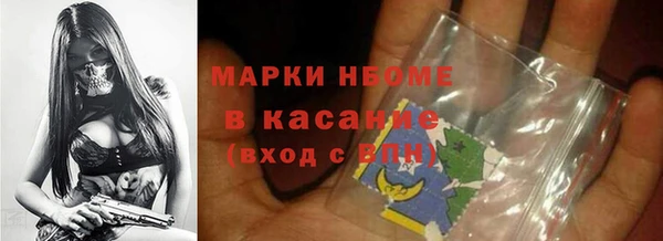 индика Белокуриха