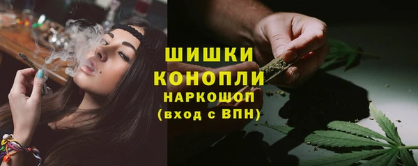 индика Белокуриха