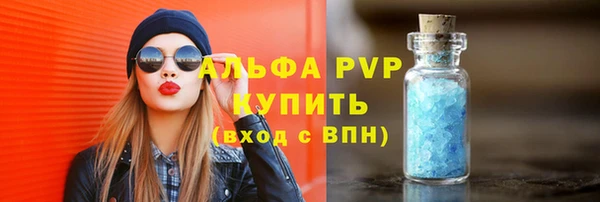 индика Белокуриха