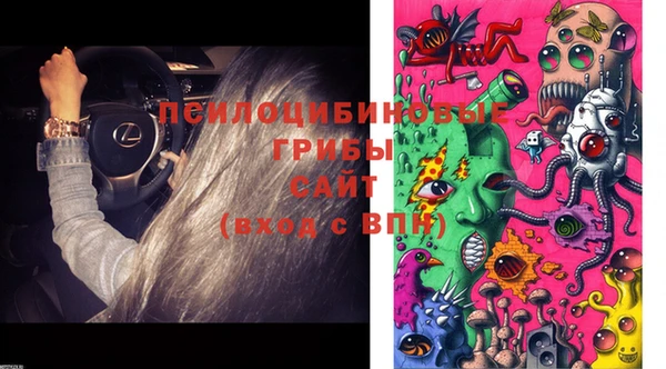 мдпв Лабытнанги