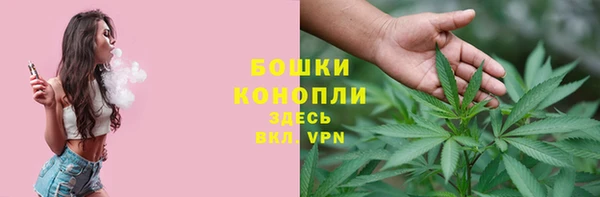индика Белокуриха