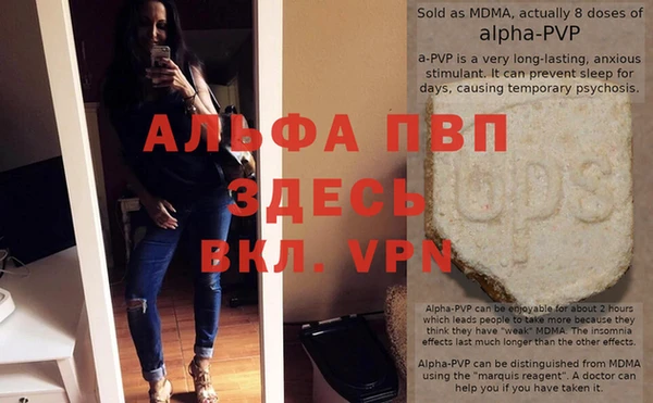 индика Белокуриха