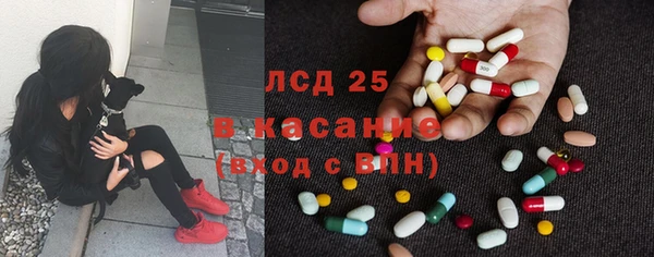 дживик Богородск