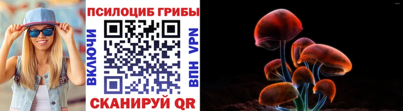 Галлюциногенные грибы мицелий  где купить наркоту  Горняк 